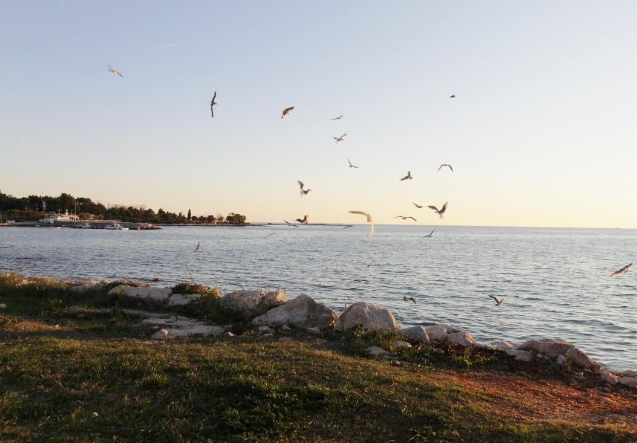 Apartments Zambratija With Sea View المظهر الخارجي الصورة